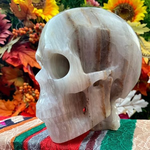 Fluorite Crystal Skull ~ Large 3 Lb. 8 oz. ~ 5&quot; Tall ~ Hand Carved Life Size Sculpture ~ Translucent Purple Rainbow Colors ~ Free Standing