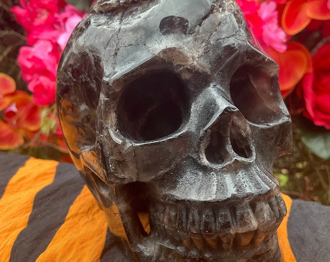 Black Quartz Crystal Skull ~ Large 2 Lb. 13 oz. ~ 5" Long ~ High Quality Hand Carved ~ Colorful Smokey Black ~ One-of-a-kind carving