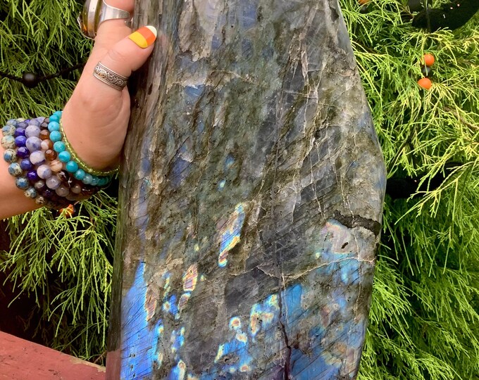 Labradorite Freeform Crystal ~ Large 28 lb. 5 oz. ~ 14" Tall ~ Flashing Electric Blue & Gold Colors ~ High Quality, Free Shipping from USA