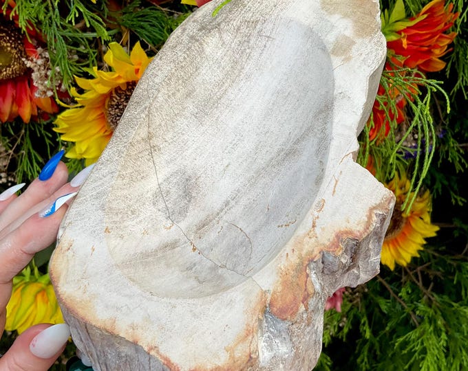 Petrified Wood Crystal Bowl ~ Large 3 lb. 10 oz. ~ 8" Long ~ Stunning Display from Indonesia, Millions of Years Old ~ Fast Free Shipping USA
