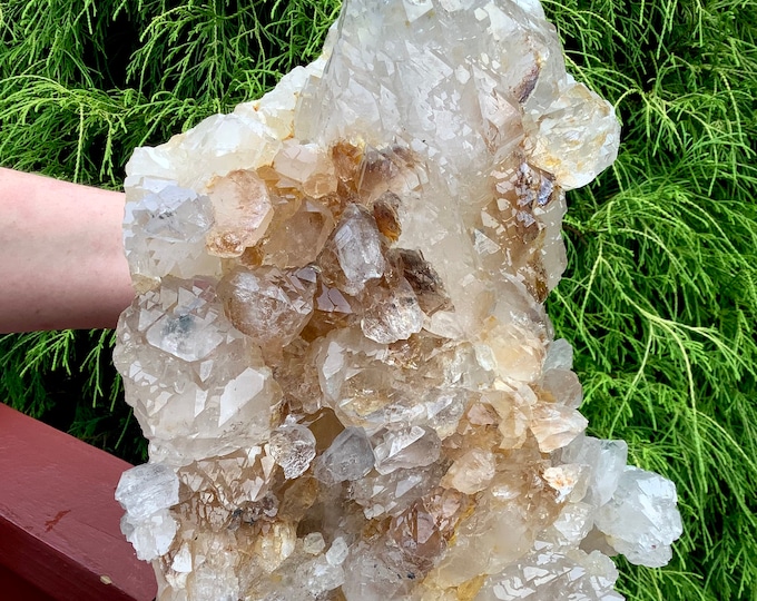 Golden Healer Nirvana Quartz Crystal Cluster ~ Large 22 lb. ~ 12" Long ~ Himalayan, Glacial, Ice Quartz ~ Fast & Free Shipping, From USA ~