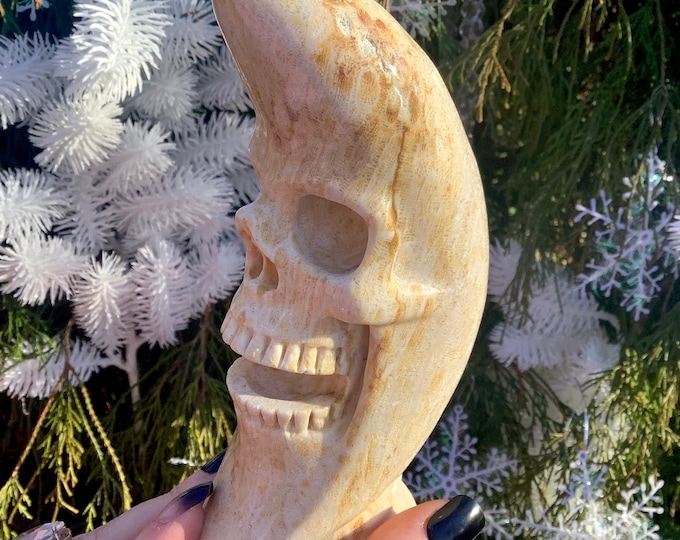Fossilized Coral Stone Moon Crystal Skull ~ Large 1 Lb. 15 oz ~ 6 1/2" Tall ~ Laughing Crescent Moon ~ One-of-a-Kind ~ Hand Carved Sculpture