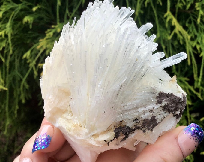 Scolecite Spray Crystal Cluster ~ 6.2 oz. ~ 3" Long ~ Synergy 12 ~ Incredible Ultra Clear Dainty Long Points ~ Fast & Free Shipping, U.S.A.