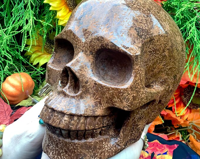 Orange Coral Stone Crystal Skull ~ Large 7 Lb. ~ 7" Long ~ Hand Carved Sculpture ~ Swirling Golden Red Brown & Black Colors ~ Fast Shipping
