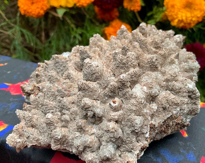 Cave Calcite Crystal Cluster ~ Large 1 Lb. 5 oz. ~ 5" Long ~ Natural Mineral Specimen on Matrix ~ Sparkling Points ~ Fast & Free Shipping