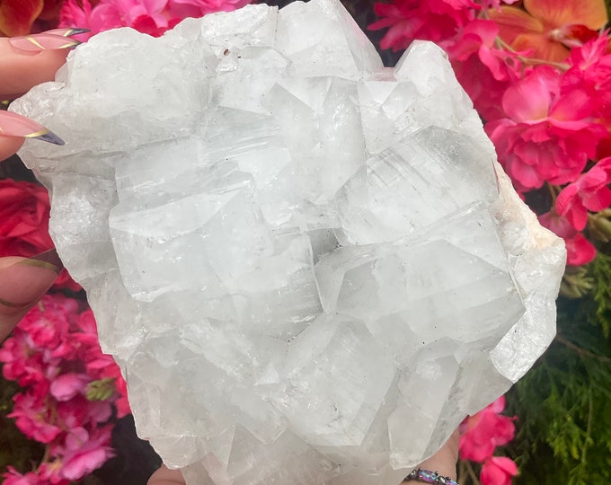 Clear Apophyllite Crystal Cluster ~ Large 3 Lb. 8 oz. ~ 5" Long ~ Stunning Sparkling Cubic Zeolite Specimen ~ Fast & Free Shipping from USA