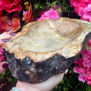 Petrified Wood Crystal Bowl ~ Large 5 lb. 4 oz. ~ 8&quot; Long ~ Stunning Display from Indonesia ~ Millions of Years Old ~ Fast Free Shipping USA