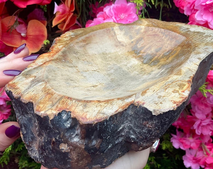 Petrified Wood Crystal Bowl ~ Large 5 lb. 4 oz. ~ 8" Long ~ Stunning Display from Indonesia ~ Millions of Years Old ~ Fast Free Shipping USA