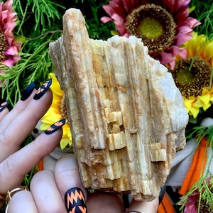 Yellow Tourmaline Large 1 Lb 8 oz. Crystal Cluster ~ 6" Long ~ Colorful Golden Bands with Quartz ~ Rare! Fast & Free Shipping, from U.S.A.