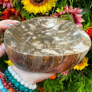 Petrified Wood Crystal Bowl ~ Large 6 lb. 11 oz. ~ 9&quot; Long ~ Stunning Display from Indonesia, Millions of Years Old ~ Fast Free Shipping USA