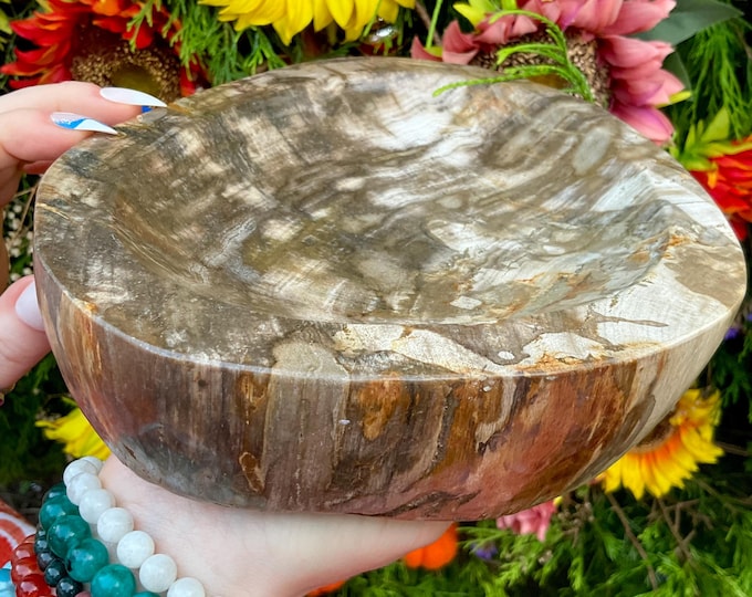 Petrified Wood Crystal Bowl ~ Large 6 lb. 11 oz. ~ 9" Long ~ Stunning Display from Indonesia, Millions of Years Old ~ Fast Free Shipping USA