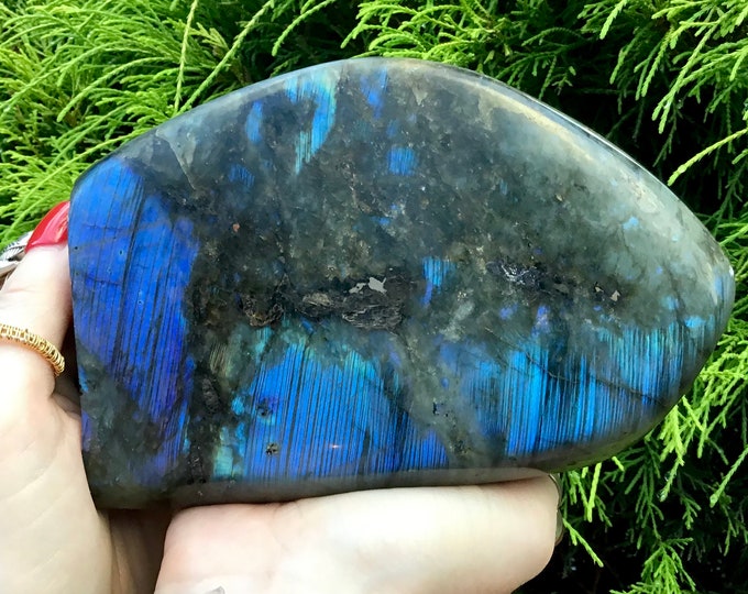 Labradorite Freeform Crystal ~ Large 2 Lb. 14 oz. ~ 6" Tall ~ Flashiest Electric Blue ~ Super High Quality ~ Fast & Free Shipping, U.S.A. ~