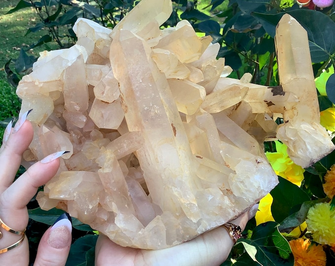 Himalayan Healing Quartz Crystal Cluster ~ Large 8 Lb. 13 oz. ~ 6" Long ~ Ultra-Sparkling Golden Healer ~ Fast & Free Shipping from U.S.A. ~