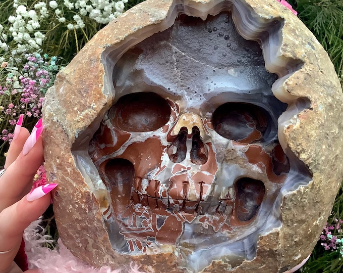 Brecciated Jasper Agate Crystal Skull ~ Large 6 Lb. 13 oz. ~ 7" Tall ~ Colorful Red & Grey Colors ~ Hand Carved ~ Fast and Free Shipping USA