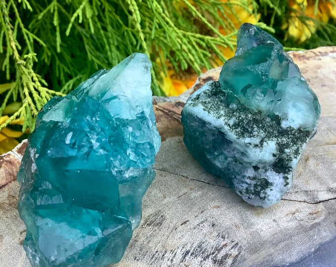 Blue Fluorite Crystals ~ Duo of Pocket or Altar Crystals ~ 2 Gorgeous Specimens ~ Perfect for Meditation, Third Eye, Gifting ~ Free Shipping
