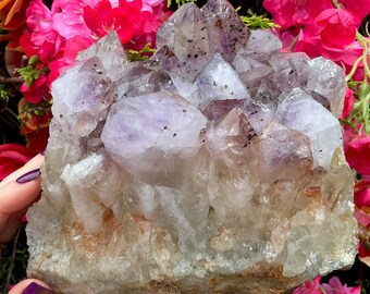 Amethyst Cacoxenit Kristallcluster ~ 8 Pfund. 2 Unze ~ 18 cm lang ~ Seltenes Sammlerstück ~ Lila Punkte ~ Schneller & kostenloser Versand U.S.A.