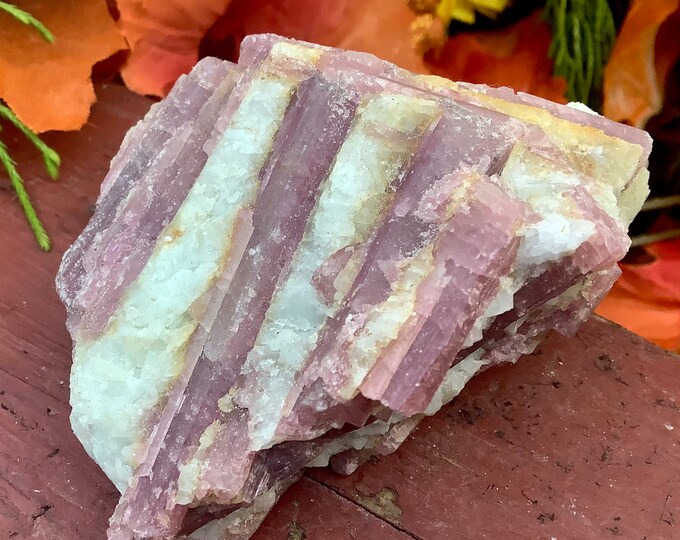 Pink Tourmaline Quartz Crystal Cluster ~ Large 7 oz. ~ 3 1/2" Long ~ Big Gemmy Colorful Bands on White Quartz Matrix