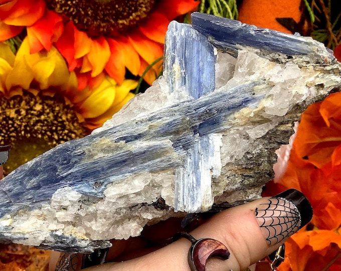 Blue Kyanite Crystal Cluster ~ Large 9 oz. ~ 4 1/2" Long ~ Throat Chakra Reiki Healing Altar Display ~ Metaphysical ~ Fast & Free Shipping ~