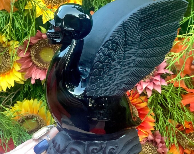 Black Obsidian Swan Skull Crystal Sculpture ~ Large 4 Lb. 11 oz. ~ 7" Tall ~ High Quality ~ Expertly Hand Carved ~ Sparkling Black & Matte