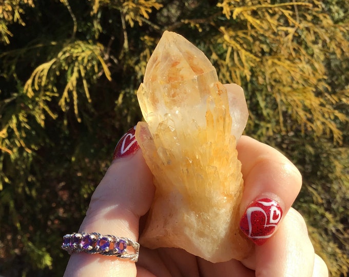Elestial Quartz Crystal Big 3 oz. Cluster ~ 2 1/2" Long ~ Tibetan Golden Healer ~ Natural Sparkling Gold Crystal Points ~ Fast Free Shipping