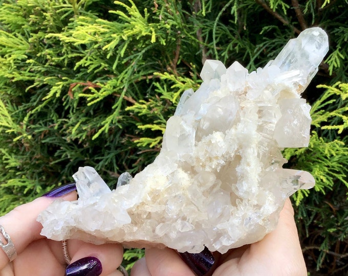 Clear Quartz Crystal Cluster Big 11 oz. Sparkling Display Specimen ~ 6" Long ~ Large Water Clear Multi Points ~ Fast & Free Shipping