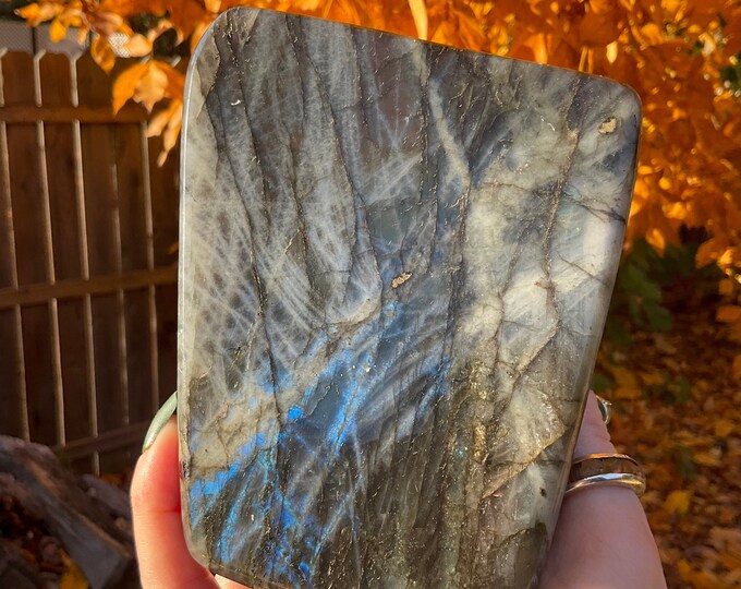Labradorite Freeform Crystal ~ Large 3 Lb. 3 oz. ~ 5 1/2" Tall ~ Flashiest Electric Blue ~ Super High Flash Quality ~ Free Standing Display