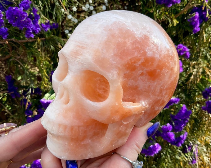 Selenite Orange Crystal Skull Large 2 Lb. 8 oz. ~ 5" Long ~ Quality Hand Carved Life Size