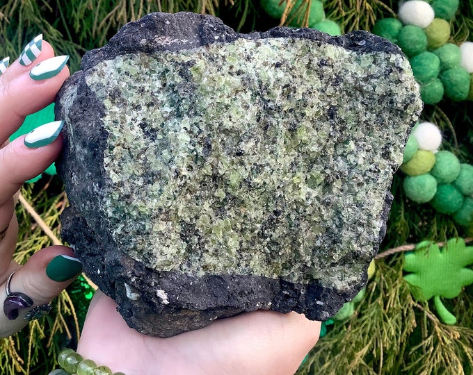 Peridot Crystal Cluster ~ Large 5 lb.~ 5" Long ~ Reiki Display ~ Green Peridot on Natural Matrix ~ Mineral Specimen ~ Fast & Free Shipping
