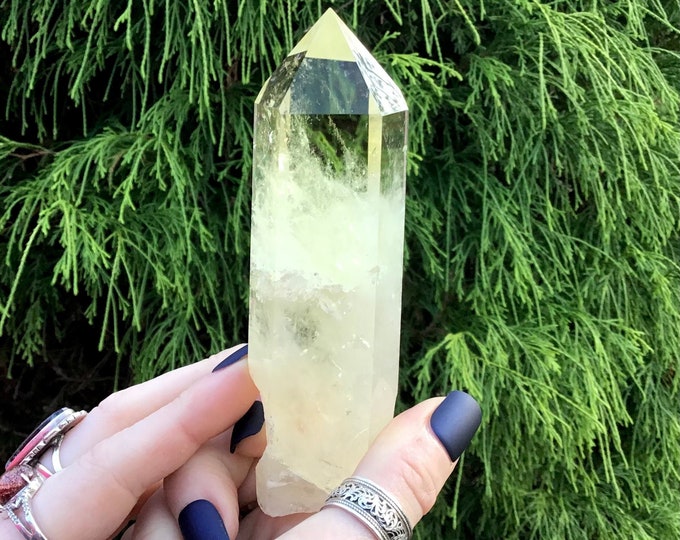 Citrine Quartz Large 6 oz. Wand ~ 4 1/2" Long ~ High Altitude Himalayan Crystal Point ~ Clear Yellow Color Sparkling Rainbow Inclusions