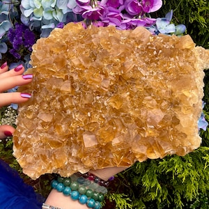 Yellow Calcite Crystal Cluster ~ Large 8 Lb. 6 oz. ~ 11&quot; Long ~ Golden Translucent Crystals ~ Cubic Formation ~ Fast & Free Shipping, U.S.A.