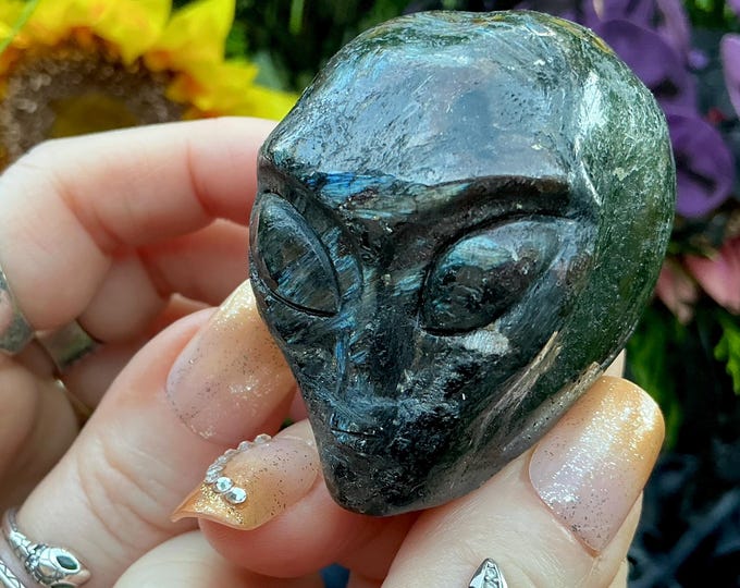 Astrophyllite with Garnet Alien Crystal Mini Skull ~ 6 oz. ~ 2" Long ~ Colorful Black & Blue Sparkling Gemstone ~ Hand-Carved Sculpture