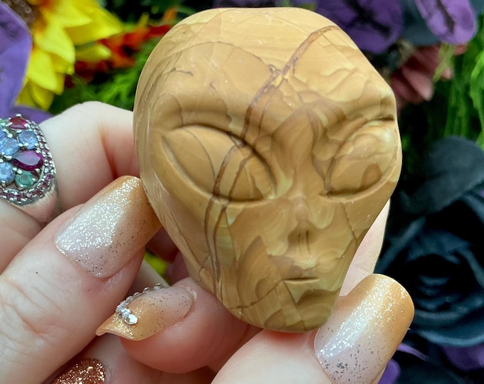 Picture Jasper Alien Mini Crystal Skull ~ Large 5 oz. ~ 2" Tall ~ With Subtle Gray Patterns ~ One-of-a-Kind Sculpture ~ Fast & Free Shipping