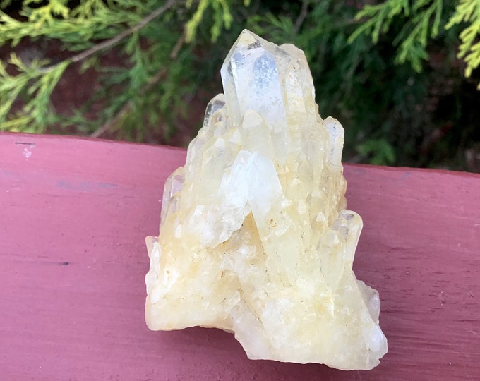 Golden Healer Elestial Quartz Crystal Cluster ~ 2.4 oz. ~ 2" Long ~ Natural Tibetan Specimen ~ Sparkling Cascading Points ~ Fast Shipping ~