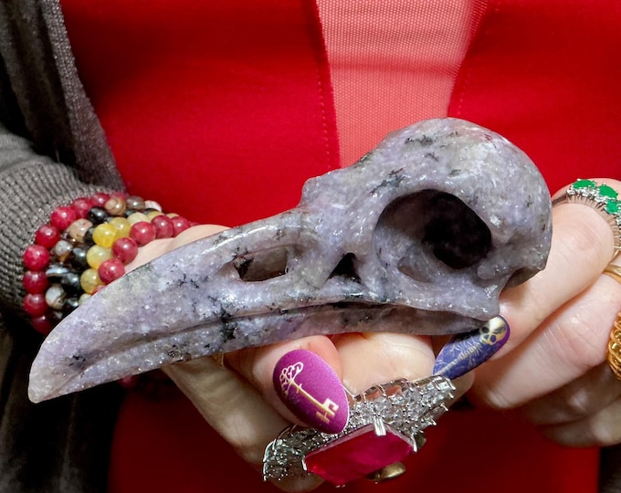Lepidolite Raven Skull ~ 4 1/2" Long ~ Hand Carved 5 oz. Sculpture Natural Crystal Bird Polished High-Quality Display, Free Standing
