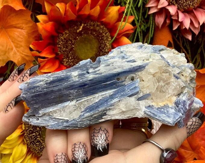 Blue Kyanite Crystal Cluster ~ Large 9 oz. ~ 4 1/2" Long ~ Sparkling Mineral ~ Reiki, Altar, Feng Shui Specimen ~ Fast & Free Shipping