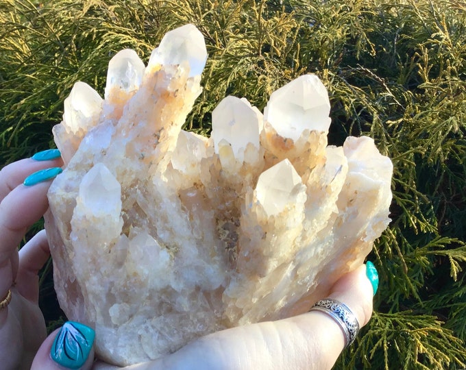 Elestial Clear Quartz Crystal Golden Healer Large 3 Lb. 14 oz. Cluster ~ 5" Tall ~ Sparkling Multi Points Stunning Display ~ Fast Shipping