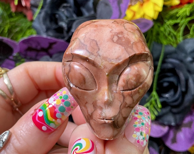 Picture Jasper Alien Mini Crystal Skull ~ Large 5 oz. ~ 2" Tall ~ Brown and White Patterns ~ One-of-a-Kind Sculpture ~ Fast & Free Shipping