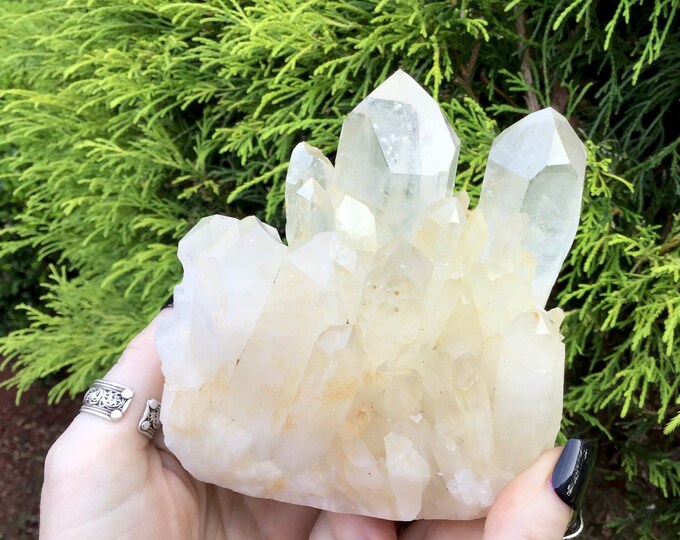 Lemurian Frosted Clear Quartz 1 lb. 7 oz. Cluster ~ 4" Tall ~ Stunning Long Big Points ~ Home Décor, Altar, Reiki, Rare Crystal Display