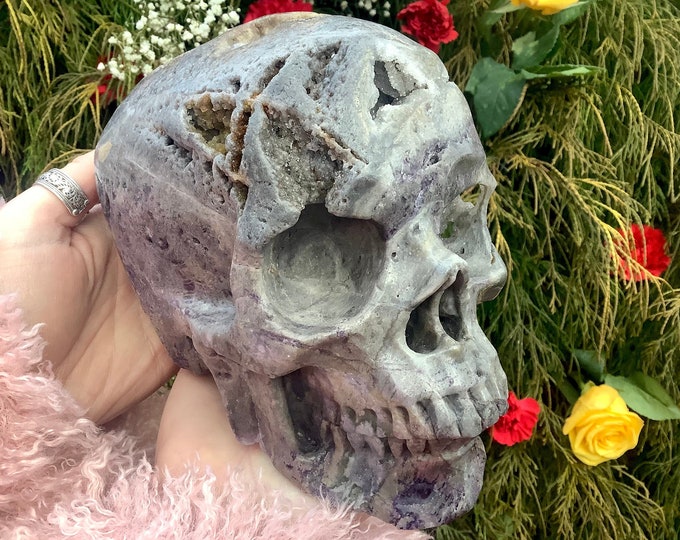 Grape Agate Crystal Skull ~ Large 7 Lb. 2 oz. ~ 7" Long ~ Colorful Purple, Lilac & Lavender Colors ~ Hand Carved Fine Art Sculpture