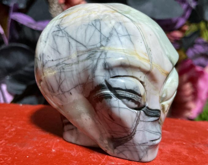 Picasso Jasper Alien Skull Crystal 6 oz. ~ 1 1/2" Long ~ One-of-a-Kind Color ~ Expertly Hand Carved Sculpture