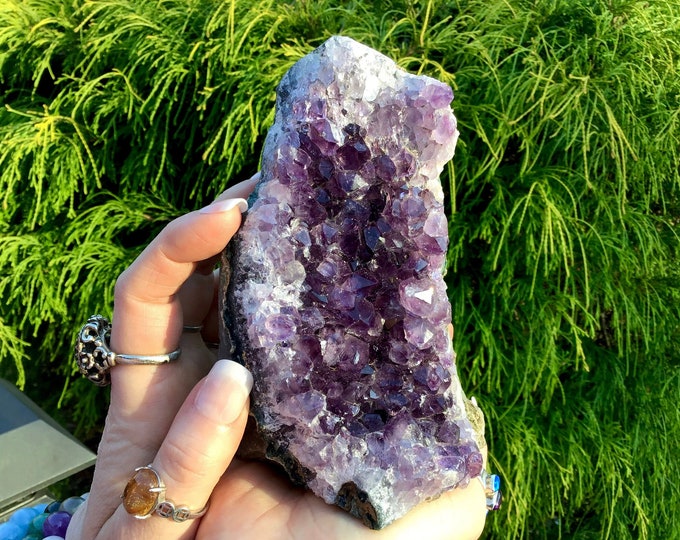Amethyst Crystal Cluster ~ Large 1 lb. 9 oz. ~ 5 1/2" Tall ~ Reiki Display ~ Beautiful Purple Quartz Points ~ Fast & Free Shipping from USA