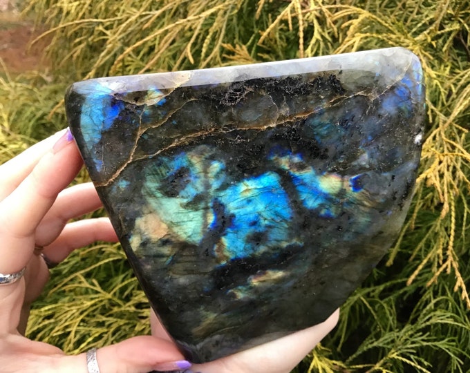 Labradorite Free Form Crystal ~ Large 3 Lb. 15 oz. ~ 5" Tall ~ Flashiest Electric Blue Gold ~ Super High Quality ~ Fast & Free Shipping ~