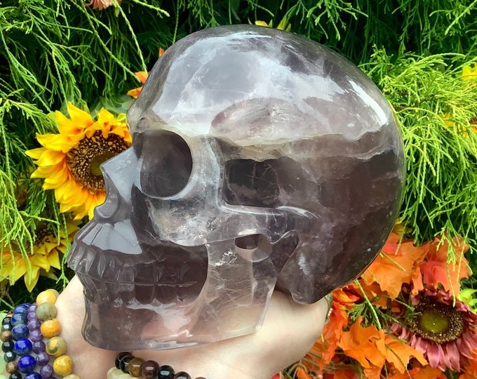 Purple Fluorite Crystal Skull ~ Large 8 Lb. 13 oz. ~ 7" Long ~ Hand Carved Life Size Sculpture ~ Translucent Rainbow Colors ~ Free Standing