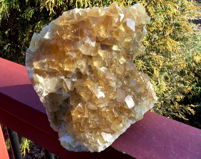Yellow Calcite Cluster ~ 5 Lb. 13 oz. ~ 6" Tall ~ Amazing Deep Golden Translucent Crystals ~ Sacred Geometry Cubic Formation ~ Gem Quality