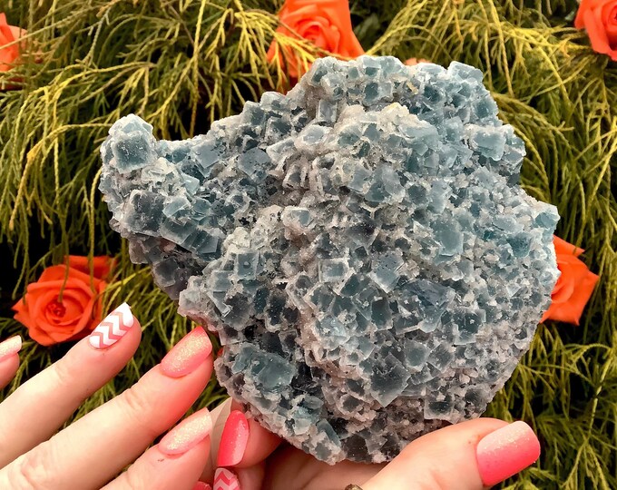 Blue Fluorite Crystal Cluster ~ Large 1 Lb. 3 oz.  ~ 4" Long ~ Colorful Cubic Formation ~ Rare Beautiful Reiki, Altar, Display Specimen