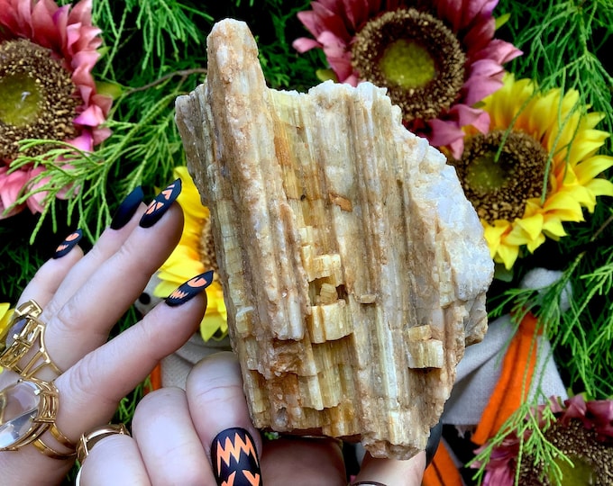 Yellow Tourmaline Large 1 Lb 8 oz. Crystal Cluster ~ 6" Long ~ Colorful Golden Bands with Quartz ~ Rare! Fast & Free Shipping, from U.S.A.