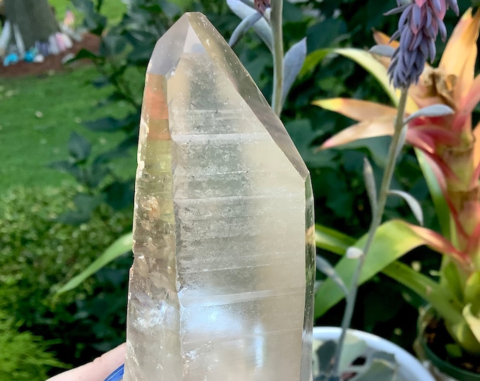 Clear Quartz Crystal ~ Big 7 oz. - 3 1/2" Long ~ Large Sparkling Clear Point ~ Palm Stone, Meditation, Reiki, Altar ~ Fast & Free Shipping
