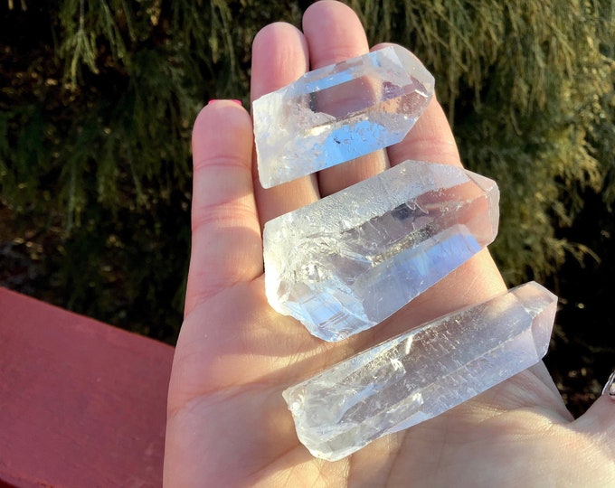 Trio Of 3 Large Ultra Clear Quartz Crystal Points ~ 2 " Long ~ 3.5 oz. ~ Perfect for Gifting ~ Beautiful Reiki Altar Display ~ Fast Shipping