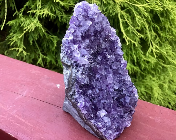 Amethyst Crystal Cluster ~ Large 11 oz. ~ 3 1/2" Tall ~ Reiki Display ~ Beautiful Purple Quartz Points ~ Big Specimen ~ Fast & Free Shipping