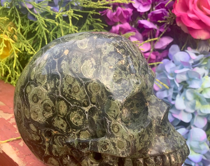 Kambaba Jasper Crystal Skull ~ Large 2 Lb. 13 oz. ~ 5" Long ~ High Quality ~ Expertly Hand Carved ~ Swirling Green & Black Colors